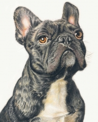 Custom oil portrait, Original Personalized portrait painting, History portrait, Hand Painted Oil Painting portrait From Photos